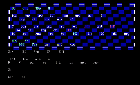 電腦病毒的價值