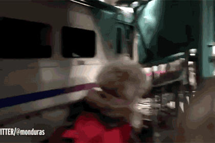 (视频来源于：CNN，版权属于Twitter用户Leon O)