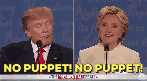 (图片来自giphy.com，版权属原作者所有)