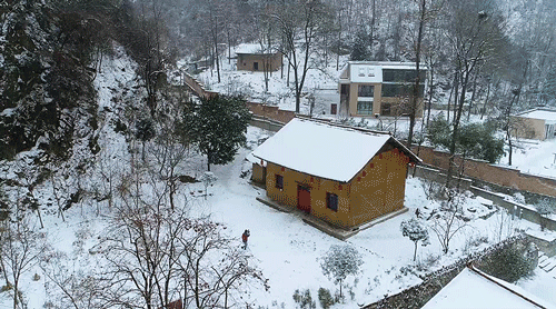 过去的经历,成就了今日的他一个人的山中岁月毕竟孤独,但有了山羊,猫