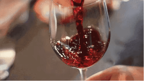 厦门林肯臻奢品酒会,探索酒文化之旅