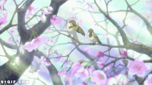 那些年,藏在诗词里的春夏秋冬,花鸟鱼虫