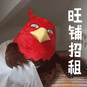 逗趣,机智,耍贱,卖萌,年轻人喜欢的都是他的日常,雕兄表情包更是被