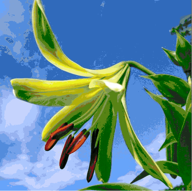 赏花,游湖,听禅,品茶,石象湖许你一个难忘的国庆之旅