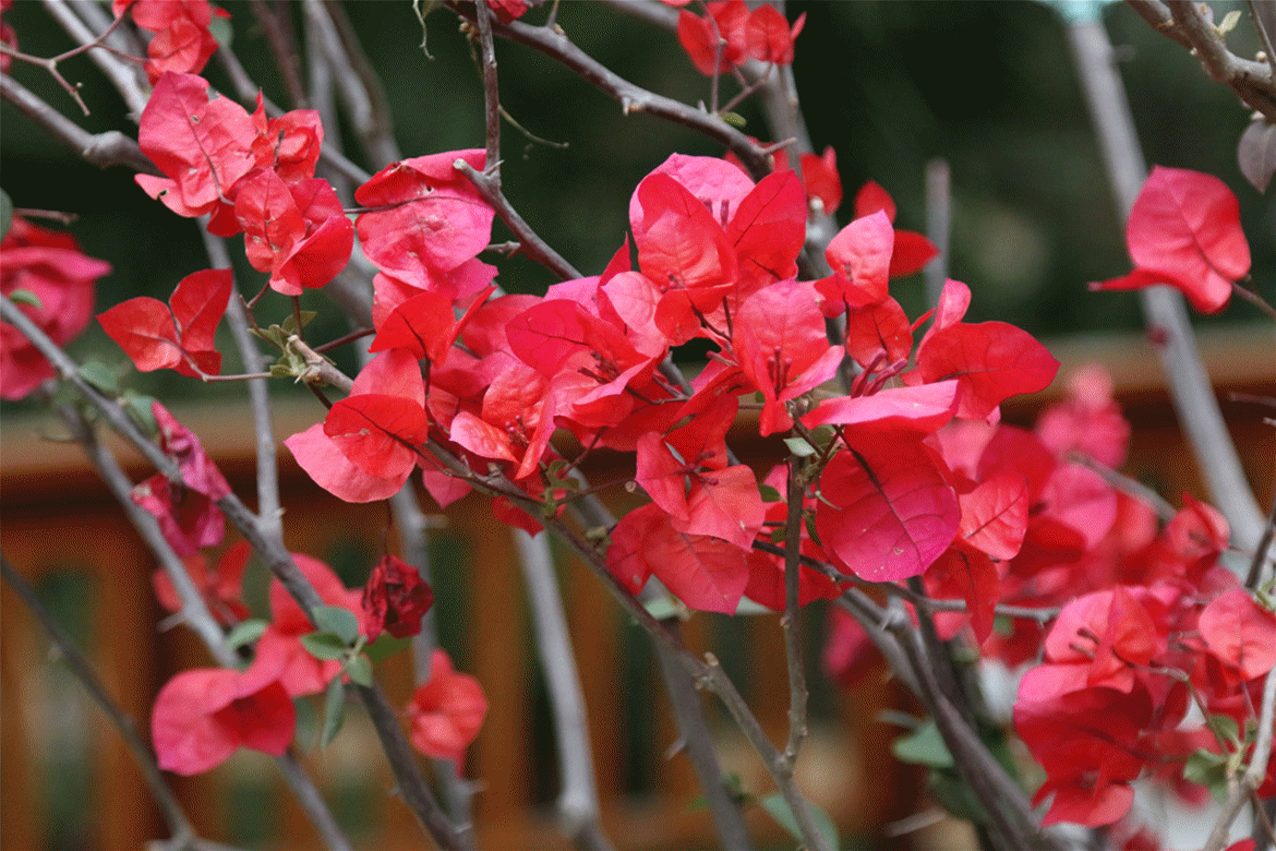 明天,小编敢说十堰这个地方将被踏平!