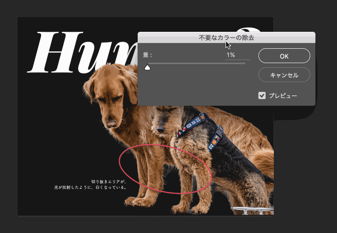 10种常用PS扣图方法搞定大部分抠图工作