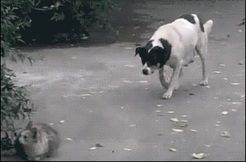 这50个老广经常用的粤语3字词语,解释一下包你秒懂!