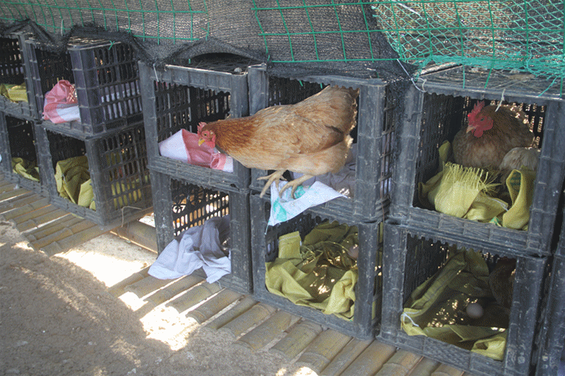 800_533 gif 动态图 动图