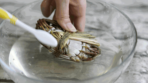 (留言区不见不散)