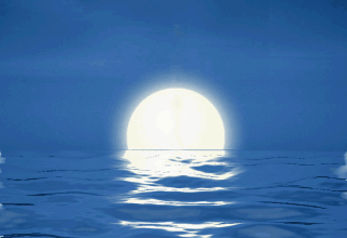 月相盈缺,诗词照夜