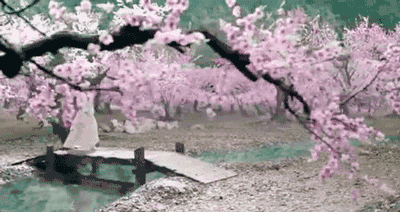 不由想到三生三世 十里桃花的场景