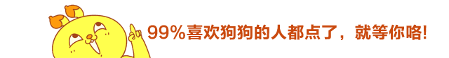 寵物知識｜寵物狗狗春日換毛全解析