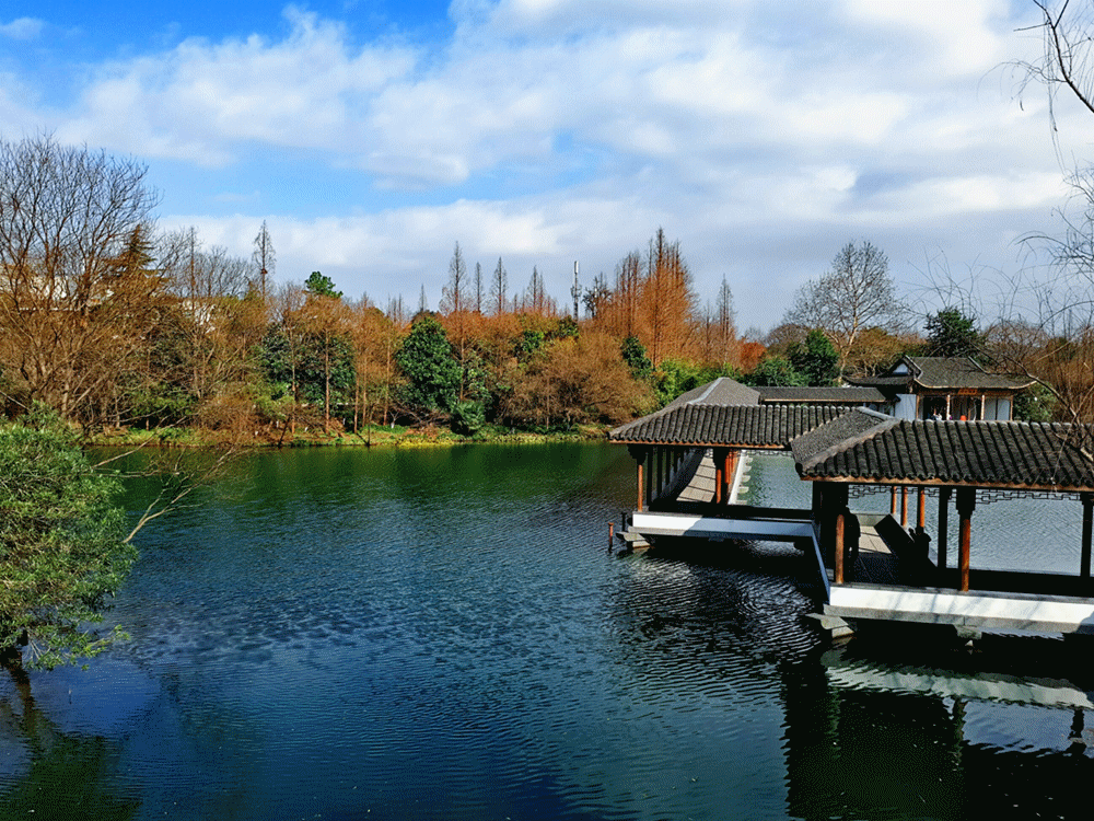 就想在这儿『发发呆~』