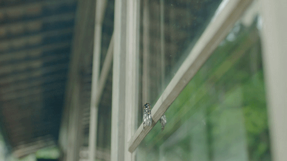 松下空调：寻找内心深处的印记，让呼吸回归享受