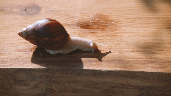 松下空调：寻找内心深处的印记，让呼吸回归享受