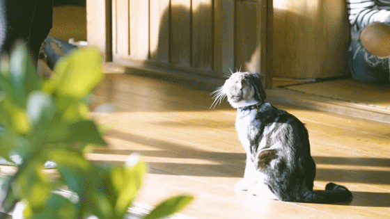 松下空调：寻找内心深处的印记，让呼吸回归享受