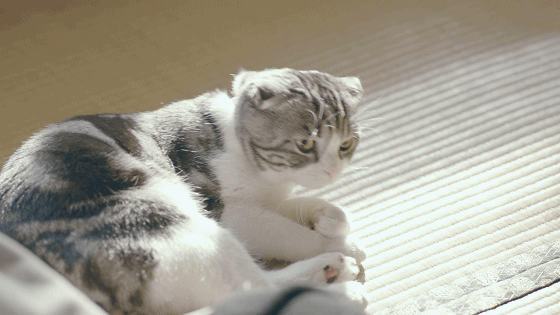 松下空调：寻找内心深处的印记，让呼吸回归享受