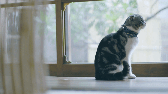 松下空调：寻找内心深处的印记，让呼吸回归享受