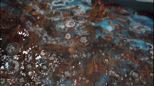 小龙虾买二送一,啤酒买一送一,永康一家小龙虾太豪爽了