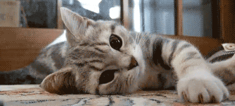 硬件软件，都比不过“湿件”！世界属于碳基生物！