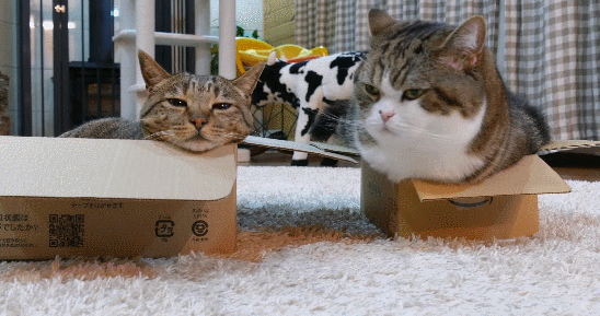 比特币为何安全，它会永远值钱吗？这是击倒它的3种方法