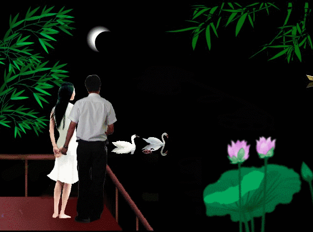 望湖心荷影,漂浮水面;随波荡漾,风送花香.