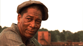 哈酒是什么意思 哈酒是哪的方言