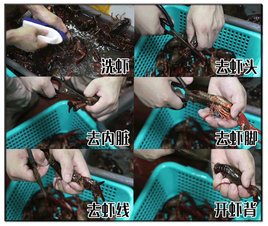 而且每天都有新鲜的小龙虾从潜江运过来!