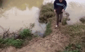 今日爆笑动态图67算了你不适合做饭你还是出去吧