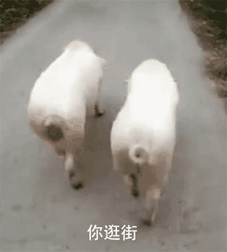 夏天的夜晚