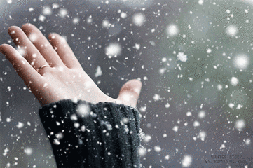 窗外雪花飘飘,跳着舞着,轻盈而热烈,那是因为知道你要来——每一位