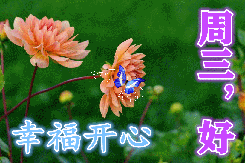 早上好动画表情图片带字带祝福语2021最美春日早安问候祝福动态图片带