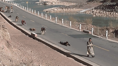 《冈仁波齐》：只要肯上路，永远来得及