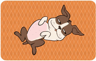 狗狗平常的那些行为,