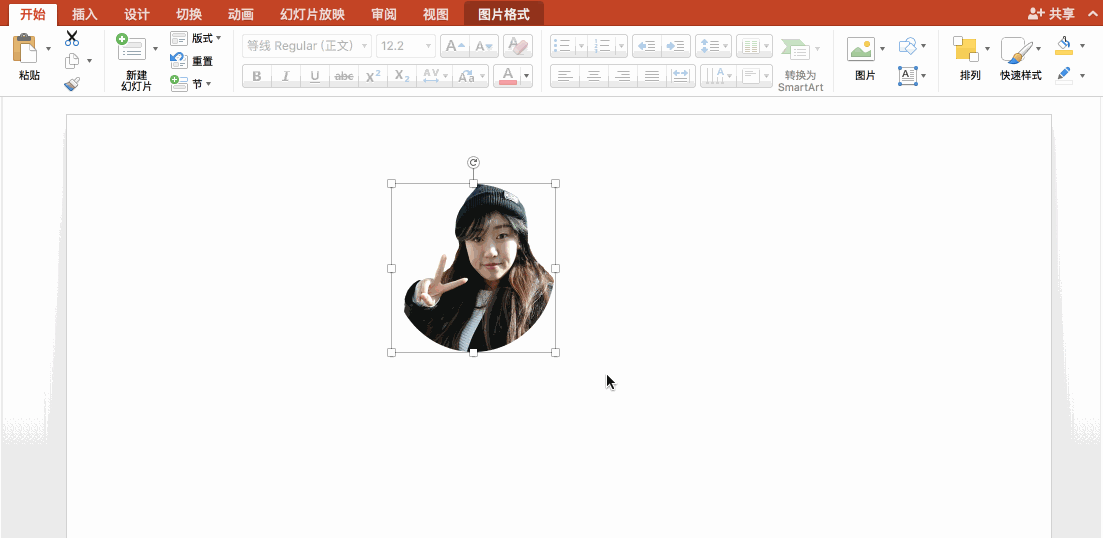 插入图片后裁剪为圆形 为了保证是正圆形 我们给到照片一个黑色边框