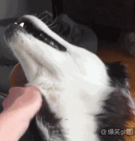 你和萌之间,只差一个吐舌了.-来自微信公众号爆笑图