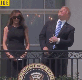 用投影仪投射?你们再厉害,难不成还能把飞机横幅拉到白宫上面去示威?