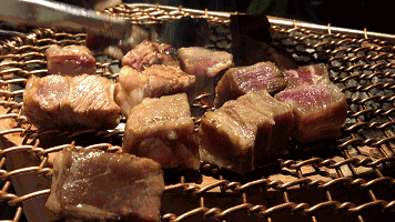 盛姓氏怎么读_操姓氏怎么读_盛姓氏怎么读