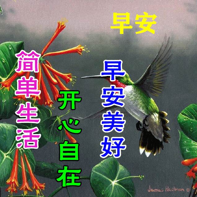 周末早上好超级漂亮动态祝福图片带字暖心的早安问候图片