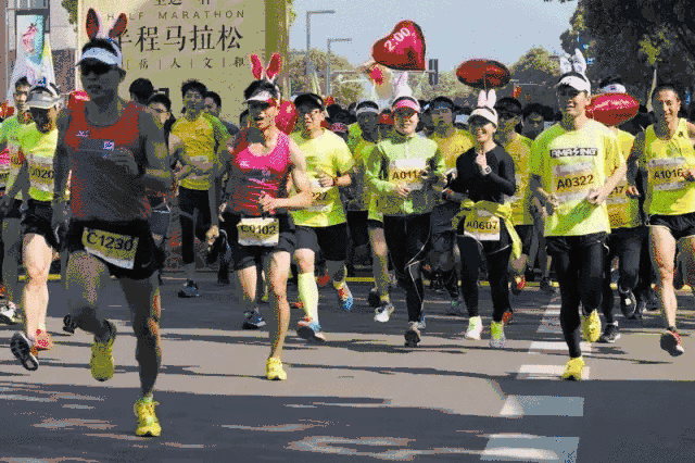 2016海上明月半程马拉松照片