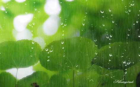 久石让钢琴曲《雨》,美的让人心醉,祝他生日快乐!