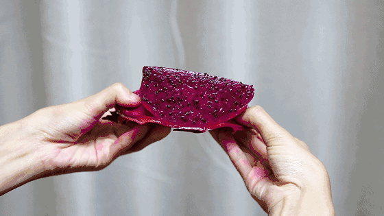 这里的火龙果甜度达15以上,香甜多汁秒杀越南的火龙果