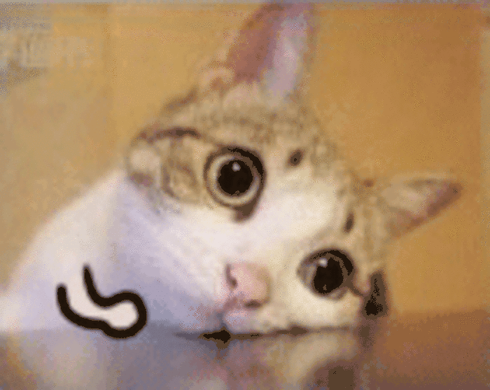 日本警察逮捕在便利店取暖的喵星人,竟然敢这样对待猫主子?