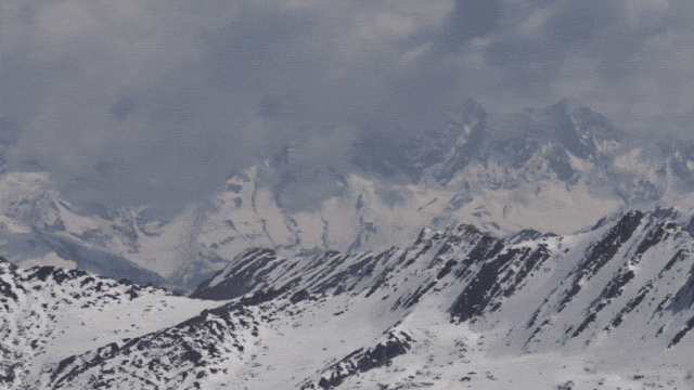 5月9日(24).2025-05-11 02_47_39.gif