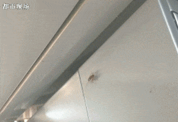 掉落在地上的鸡翅，店长直接捡起来扔进油锅里炸，连冲洗一下都没有。