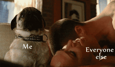 微信公众号图文模板酒吧11.11光棍节黄色重口味文章模板