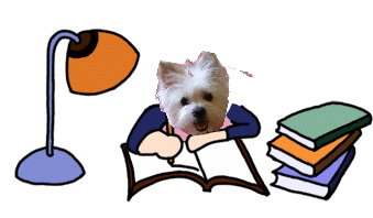 满脑子都是大点套小点,小点里还有几小点