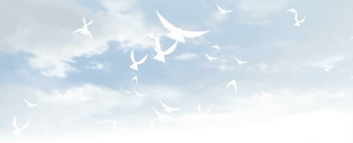 严红辉经典散文集企业是主人为客