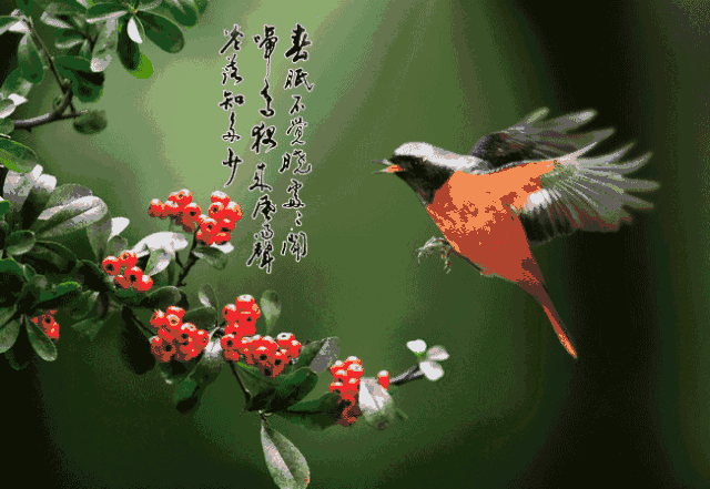 早上好特漂亮的祝福动图动画合集大全 温暖人心的清晨