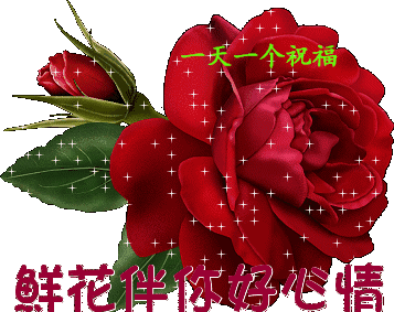 今天二月二龙抬头千载难逢的双倍祝福日送您双倍福气愿您鸿运当头好